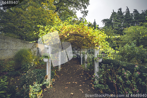 Image of Garden corridor in the fall with autumn leaves