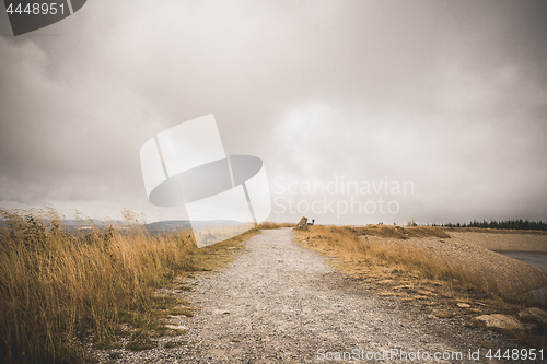 Image of Dirt trail with golden grass on both sides