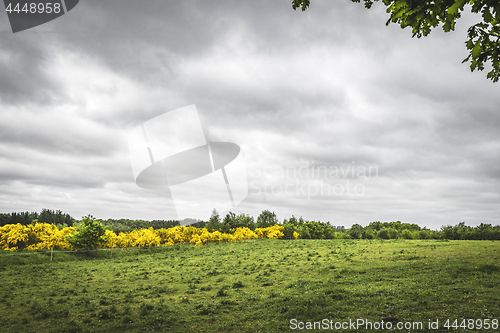 Image of Landscape on a countryside with a green field