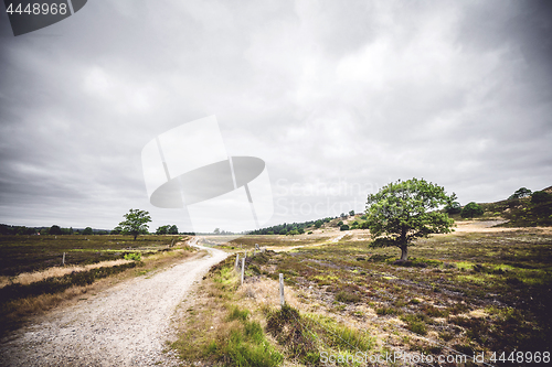 Image of Road going through an area with dry plains