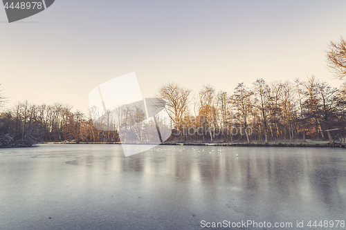 Image of Trees around a frozen lake in the winter