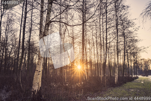 Image of Sunrise with beams shining through a forest