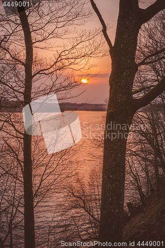Image of Golden sunrise between the trees