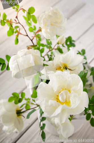 Image of Bouquet of white garden roses, close-up