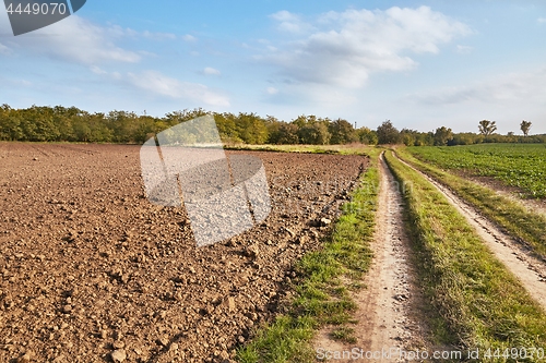 Image of Agircutural field in late sunlight