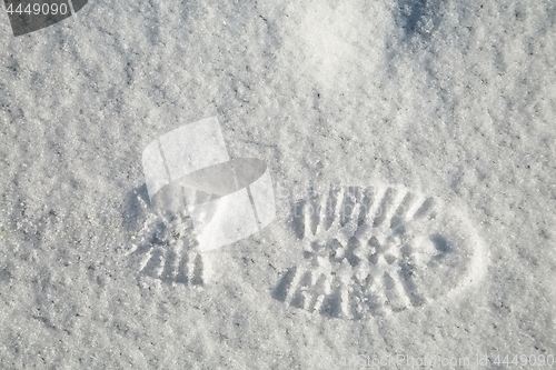 Image of Footprint in snow