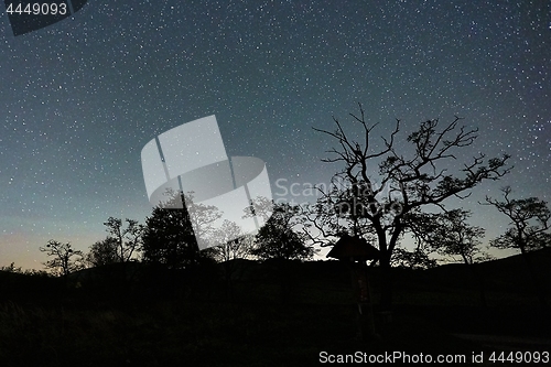 Image of Starry sky landscape