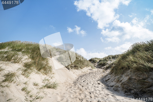 Image of Dune on a beach with lyme grass