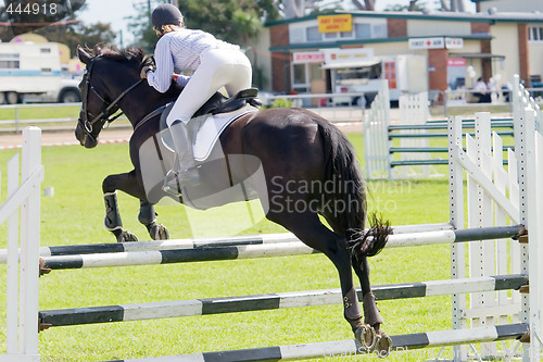 Image of Horse Jumping