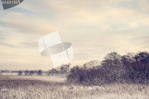 Image of Idyllic winter landscape with frosty trees