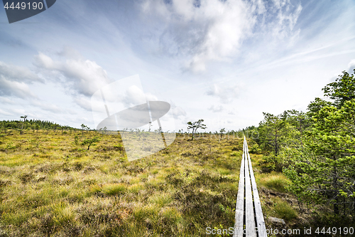 Image of Wilderness landscape in the summer