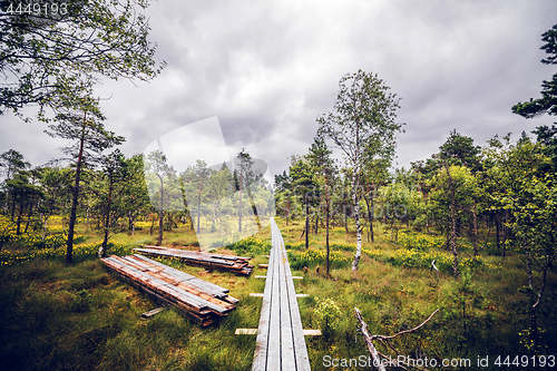 Image of Wooden trail on a meadow