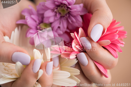 Image of woman hands with manicure holding flower