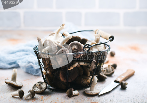 Image of raw mushrooms