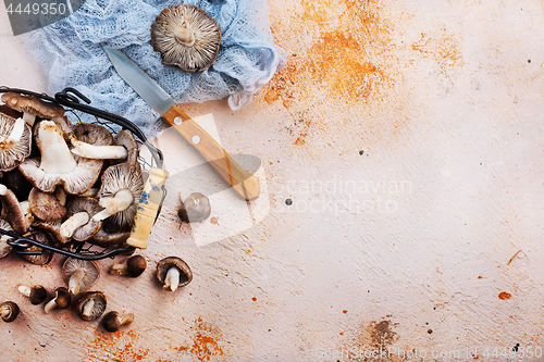 Image of mushrooms