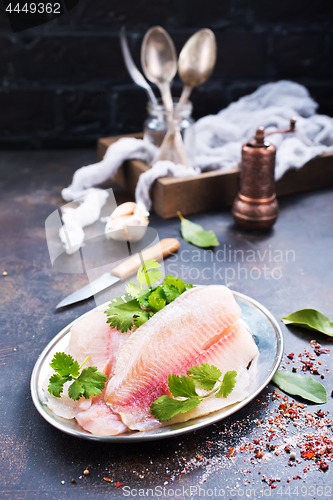 Image of raw fish fillet 