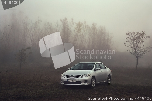 Image of Toyota corolla in the fog