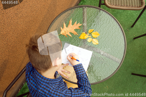 Image of Boy is doing homework outdoors