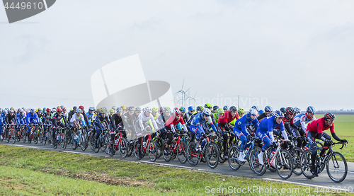 Image of The Peloton - Paris-Nice 2016