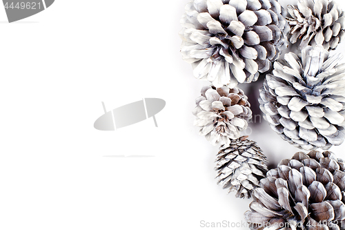 Image of White decorative pine cones.