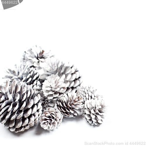 Image of White decorative pine cones.