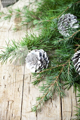 Image of Evergreen fir tree branch and white pine cones.