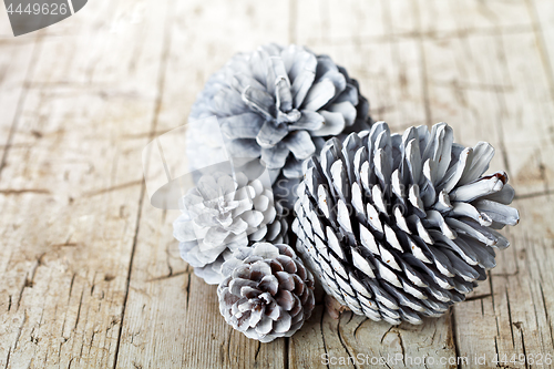 Image of White decorative pine cones.