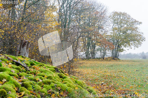 Image of Colorful fall season view