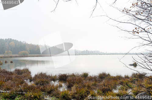 Image of Misty pond at fall season