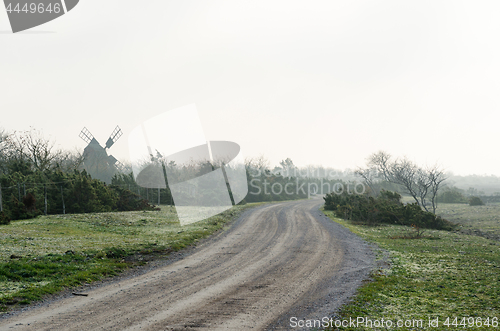 Image of Misty gravel road among junipers