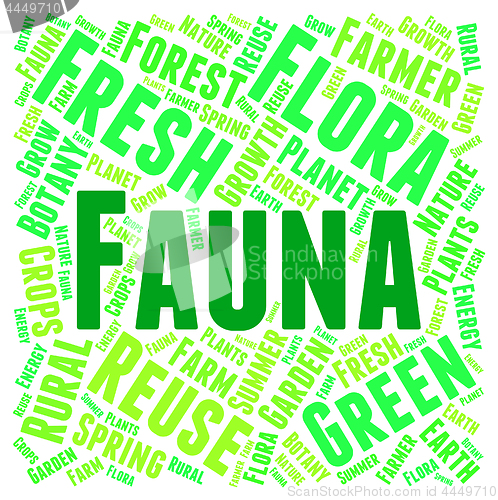 Image of Fauna Word Indicates Animal Kingdom And Area