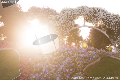 Image of Dubai miracle garden