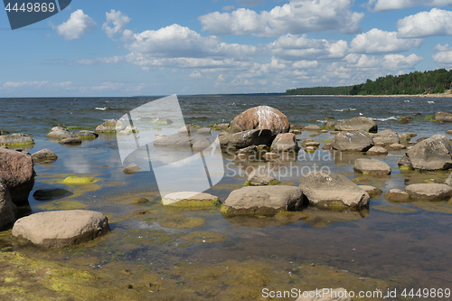 Image of Baltic sea coast in summer vacation