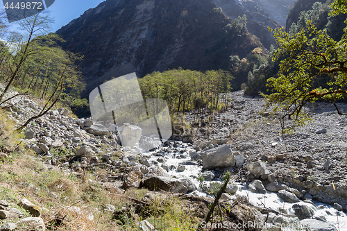 Image of Nepal trekking in Langtang valley