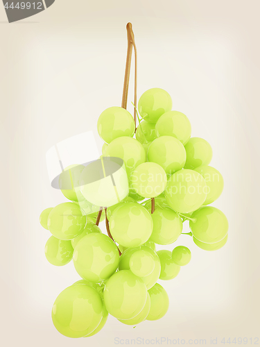 Image of Healthy fruits Green wine grapes isolated white background. Bunc