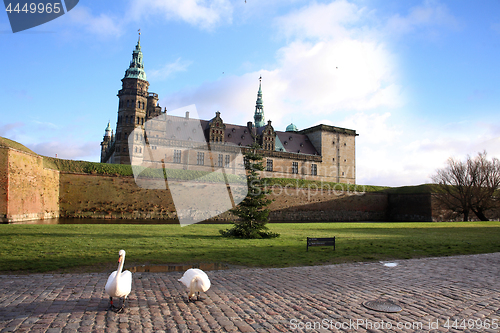 Image of Swans at Kronborg Castle