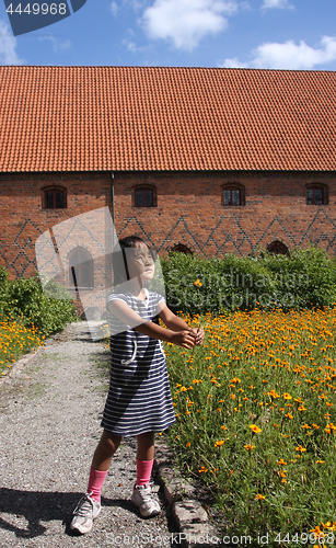 Image of  Vor Frue Monastery, a Carmelite monastery in Elsinore (Helsing