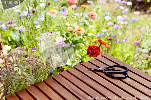 Image of Scissors on a table next to a blooming flower bed