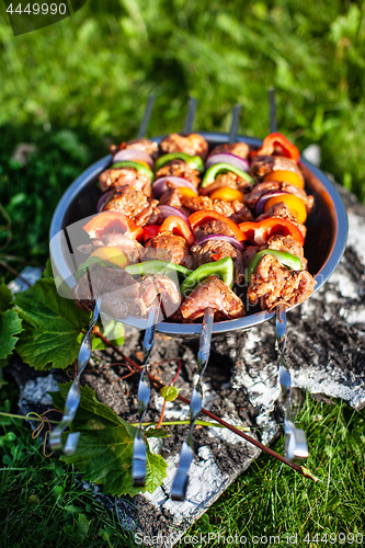 Image of Shashlik On The Grass