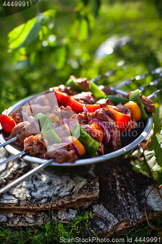 Image of Shashlik On The Grass