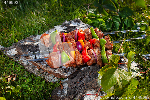 Image of Shashlik On The Grass