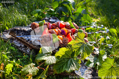 Image of Shashlik On The Grass