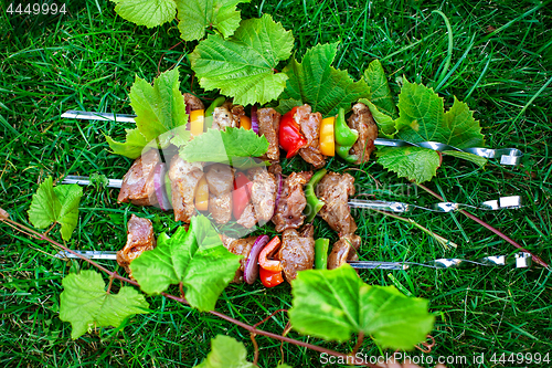Image of Shashlik On The Grass