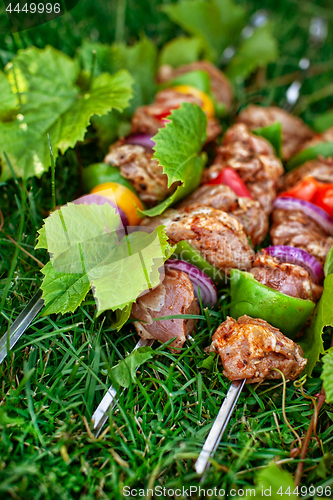 Image of Shashlik On The Grass