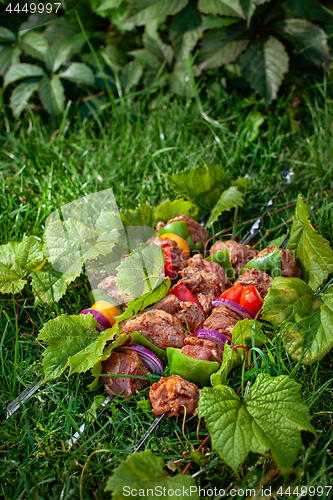 Image of Shashlik On The Grass