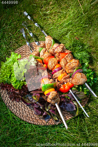 Image of Shashlik On The Grass