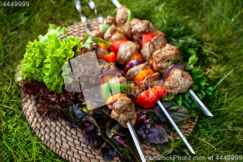 Image of Shashlik On The Grass