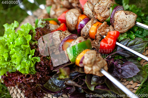 Image of Shashlik On The Grass