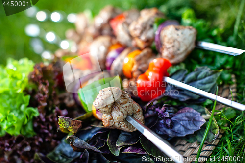 Image of Shashlik On The Grass