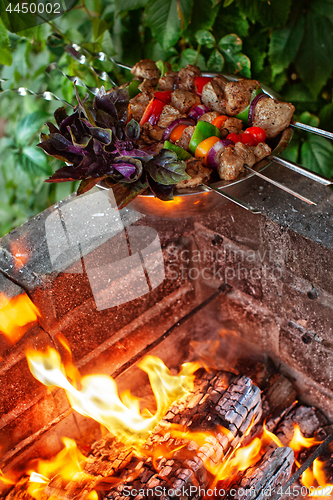 Image of Shashlik And Fire